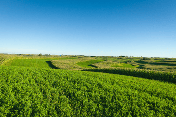 image81-177