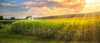 AdobeStock_213563805