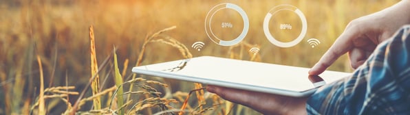 AdobeStock_244436775-2