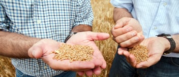 AdobeStock_27246698 (1)