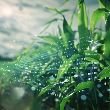 Biofuel Plants Need More Than Just an MRV Solution