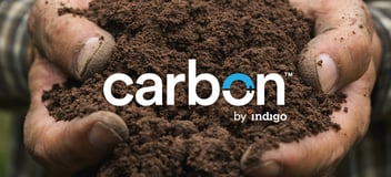 carbon by indigo logo over an image of healthy soil