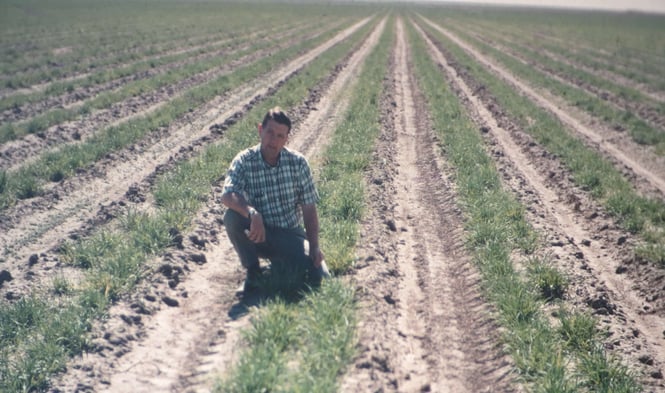 Dad native grass field