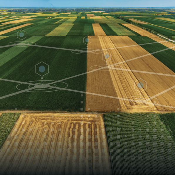 Fields