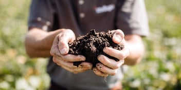 Indigo’s total impact to over 2 million metric tons of carbon removals and reductions