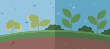 crops and soil