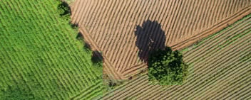 Farmland Aerial