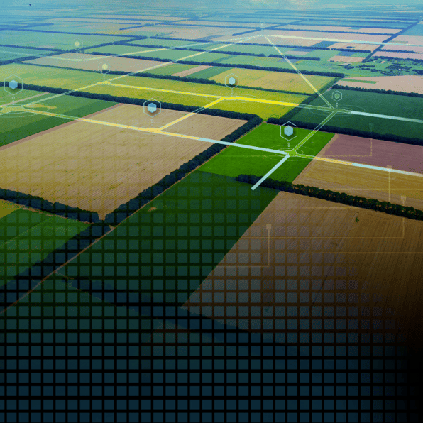 fields