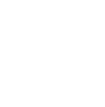 Globe Icon