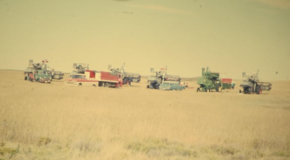 Grass seed harvest 50s