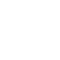 IND_globe_icon-1