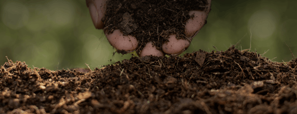 Soil