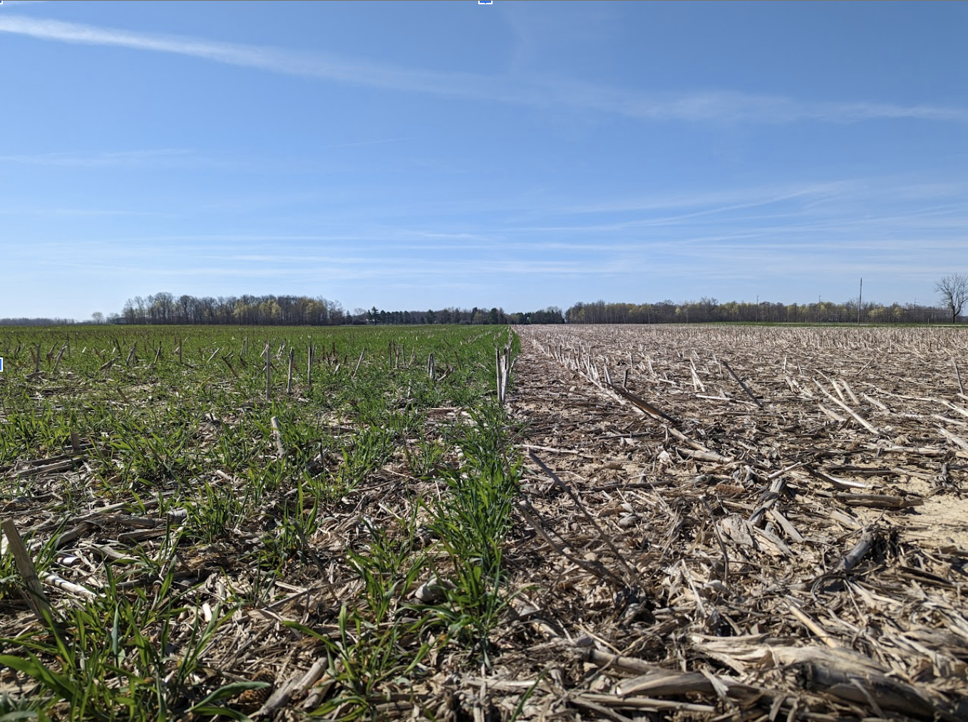 Indiana farm showing cover crops next to field without cover crops