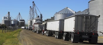 Line of trucks