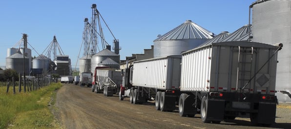 Line of trucks