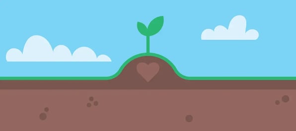 seedling