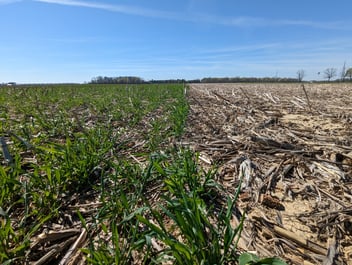 Soil Science or Fiction? #3 Soil Carbon Reversals are Inevitable and Instant