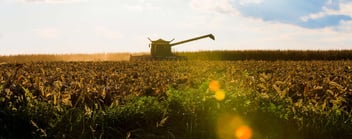 SoyCorn_WhatWeDo-min-714812-edited