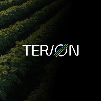 Terion