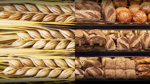 grain