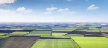 fields