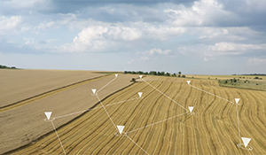 data on field