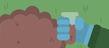 test tube soil