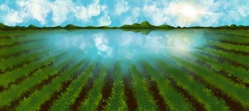 tillage and soil moisture