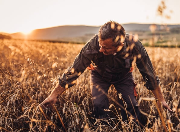 man in field