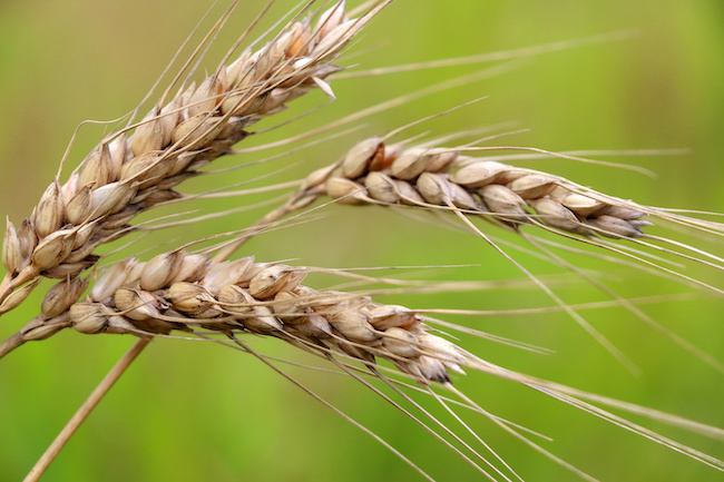 AdobeStock_208255291