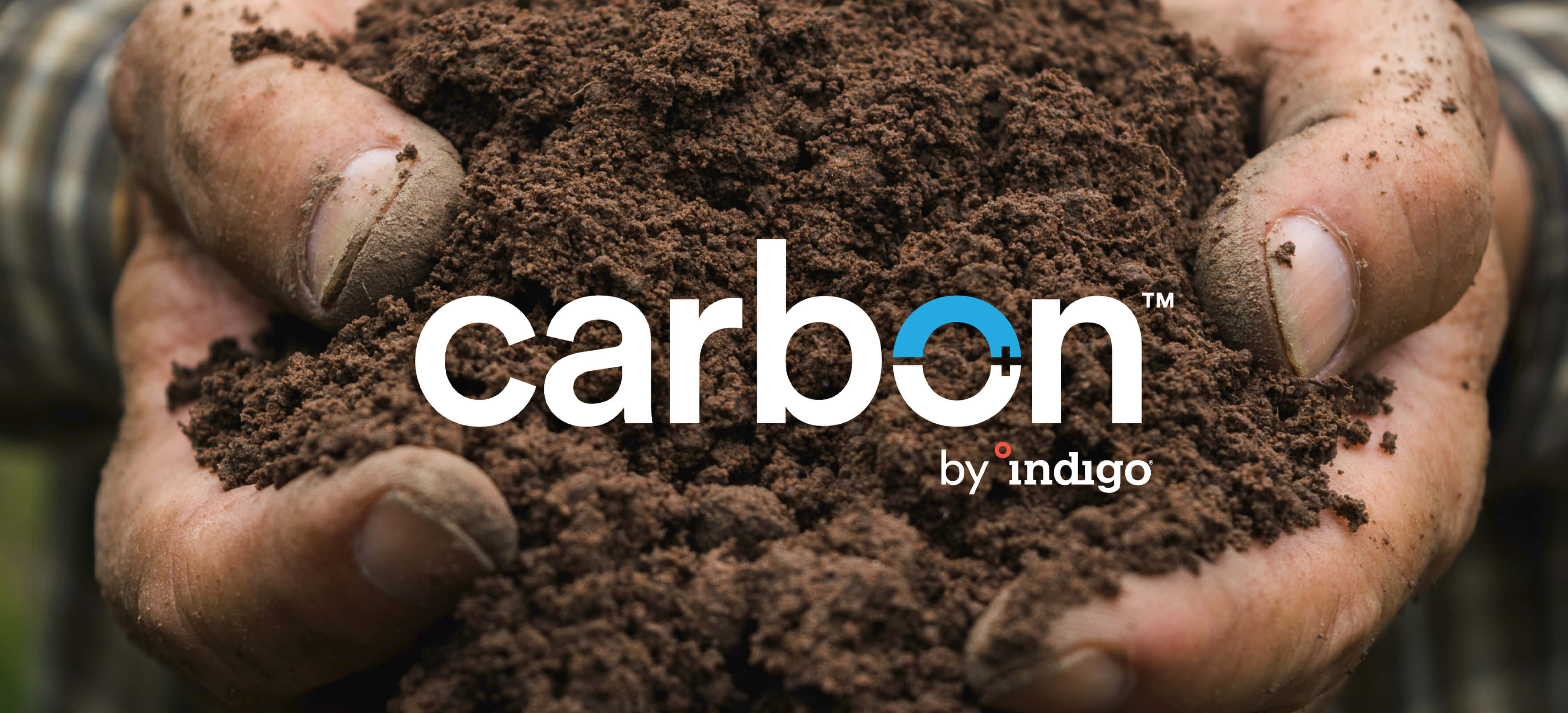 carbon by indigo logo over an image of healthy soil