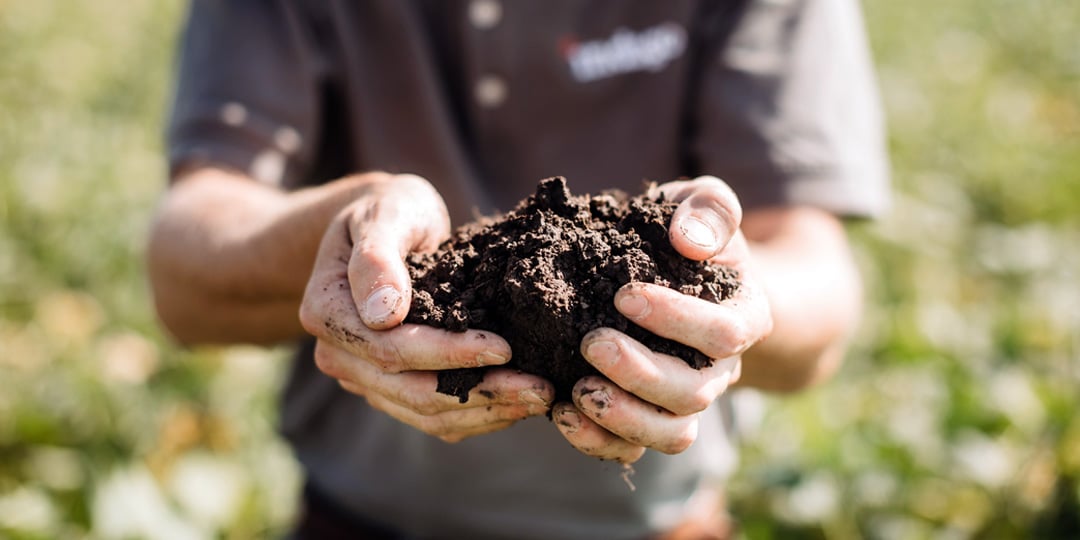 Indigo’s total impact to over 2 million metric tons of carbon removals and reductions