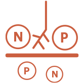 Captura de nutrientes