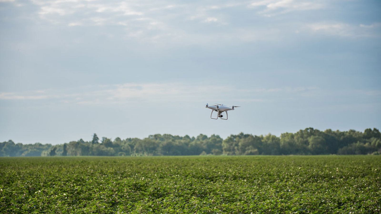 Indigo Ag Harnessing Nature to Help Farmers Sustainably Feed the