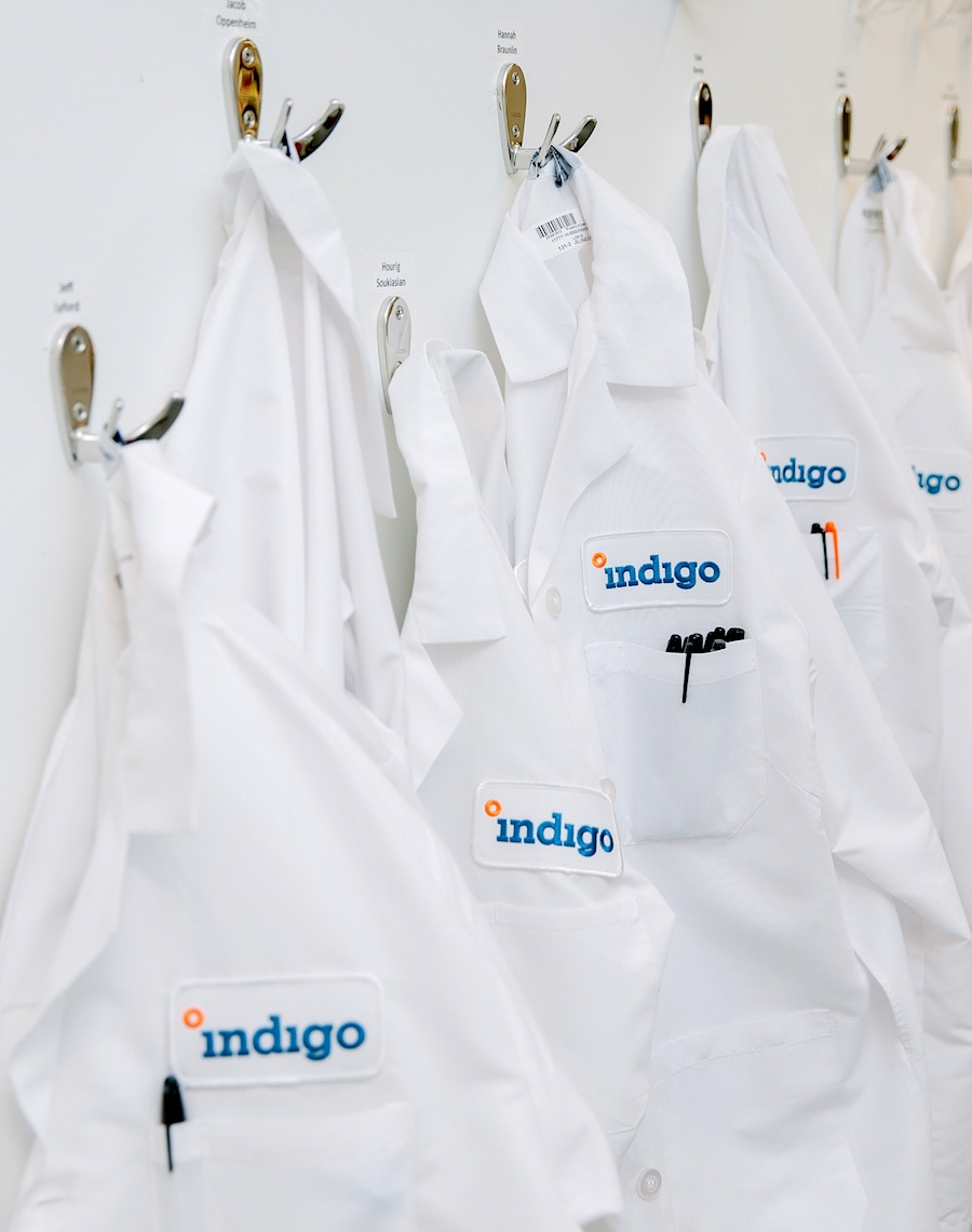 Indigo lab coats