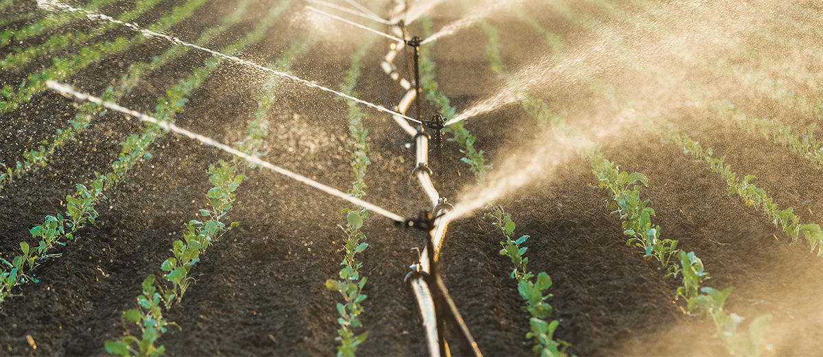 Irrigation_FB-1