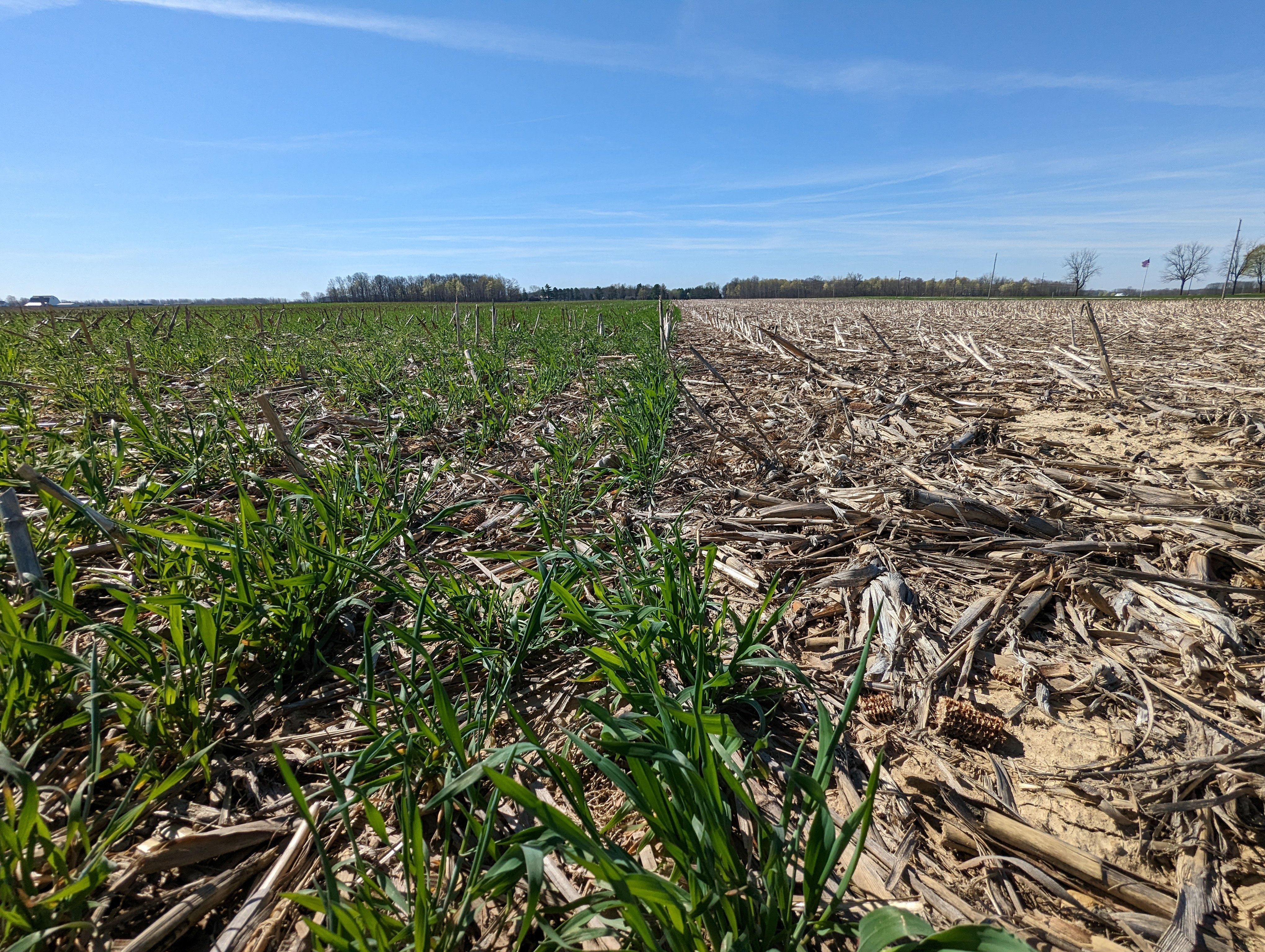 Soil Science or Fiction? #3 Soil Carbon Reversals are Inevitable and Instant