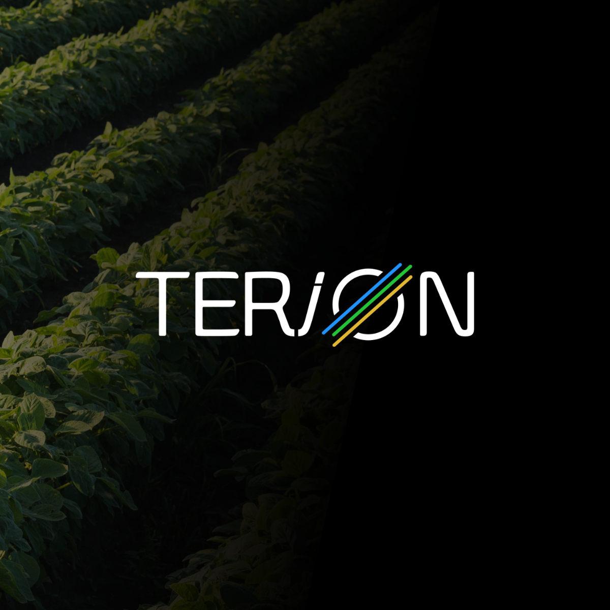 Terion