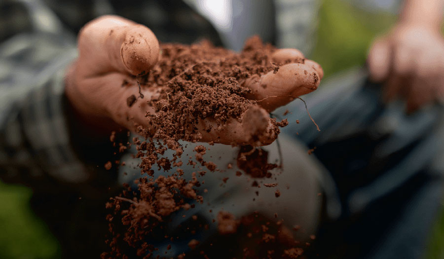Soil Carbon Science and Policy