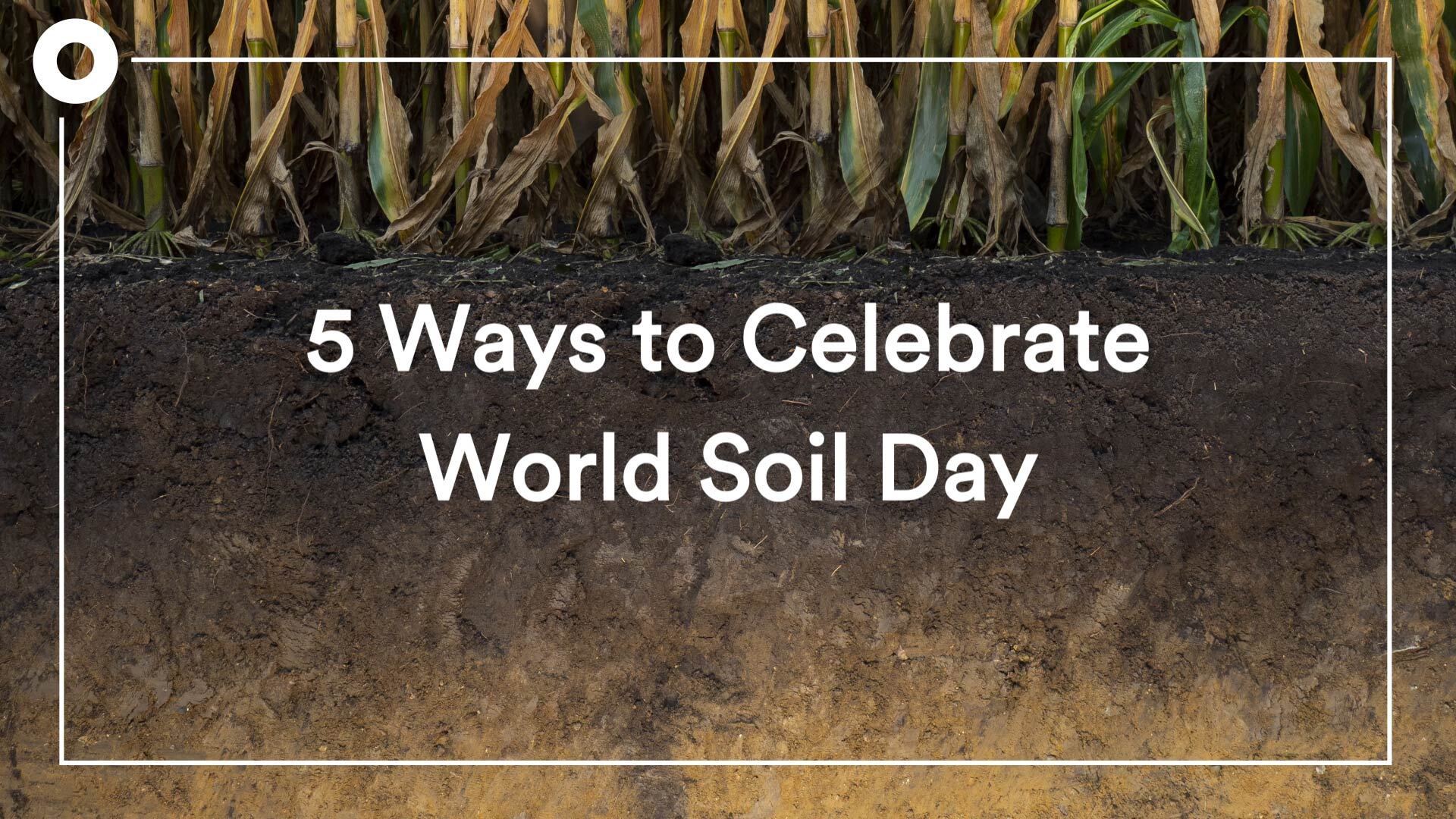5 Ways to Celebrate World Soil Day